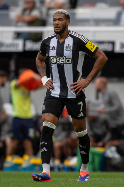 尼防线陷入 尼防线陷入