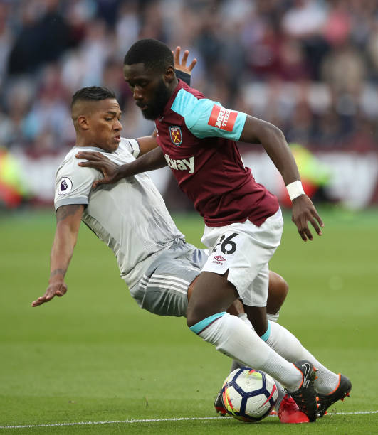 绽放光芒 绽放光芒